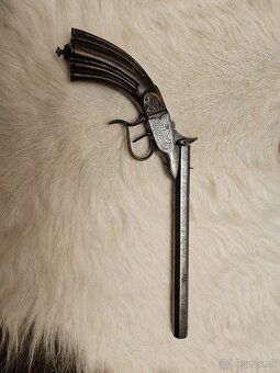 Historická vtáčnica - 2