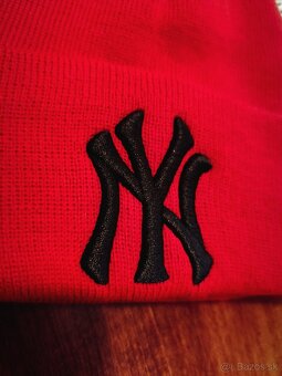 Zimná čiaoka NY - 2