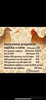 Násadové a konzumne prepeličie vajíčka - 2