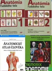 PDF učebnice pre 2. ročník LFUK (s možnosťou vyhľadávania) - 2