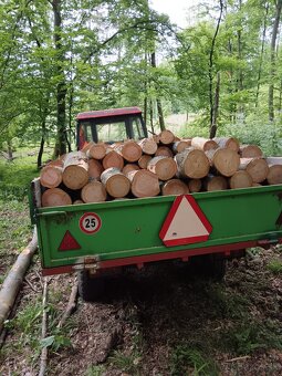 Palivové drevo za najlepšie ceny - 2