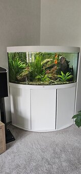 akvarium rohove juwel 350L - 2