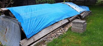 fosne cerveny smrek - 2