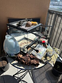 Terarium 30/30/30 - 2