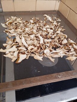 Pracovné nohavice, reflexné a sušené dubáky. - 2