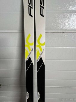 Bezky Fischer XC - 2