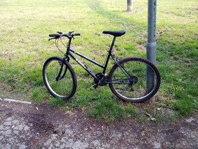Bicykel damsky - 2