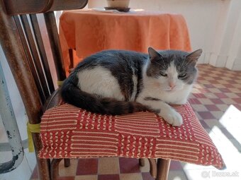 Pozor bude UTRATENA - 2