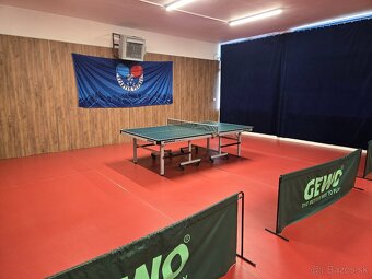 Stolný tenis - 2