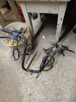 Riadidla manet korado - 2