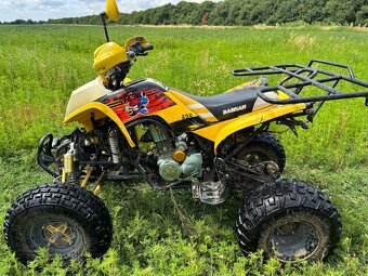 Bashan 250 - 2