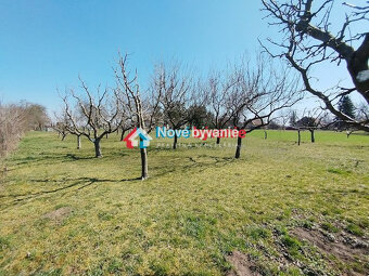 Predaj, pozemok - Plavé Vozokany (N011-14-MAHA) - 2