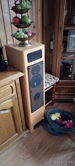 T+A criterion TB 100 - 2