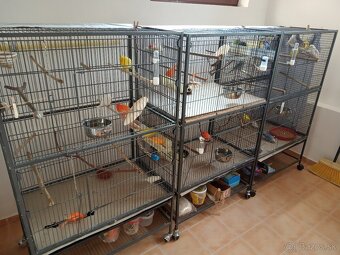 Predám klietku. - 2