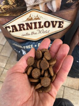 CARNILOVE Reindeer Adult 12 kg - 2
