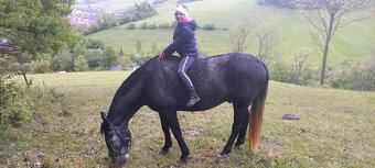 Kto daruje koníka? - 2