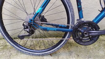 Kellys Phanatic 70 - 2