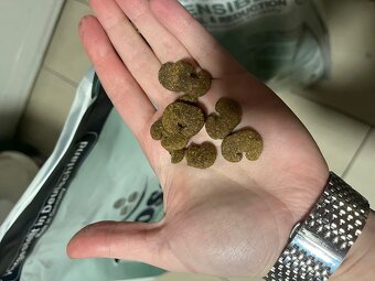 Granule - bosch Renal & Reduction - 2