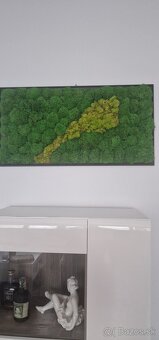 Machový obraz - 2