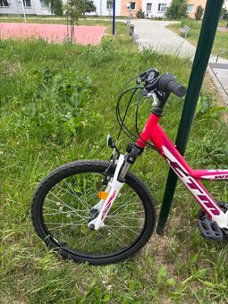 CTM Willy 24” – detský horský bicykel - 2