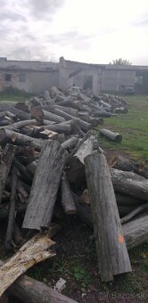 Palivové drevo - 2