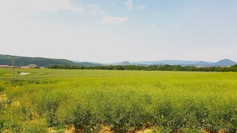 INVESTIČNÉ POZEMKY V ZÁBORSKOM - 2
