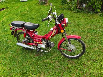 Jawa betka - 2