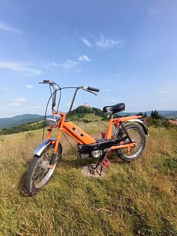 Babeta 207 - 2