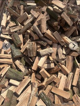 ✅‼️SUCHÉ PALIVOVÉ DREVO - 2