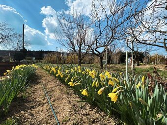 Predaj pozemok (záhrada) 358m2 Nitra – Chrenová - 2