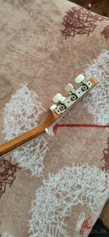 Gitara Španielka - 2