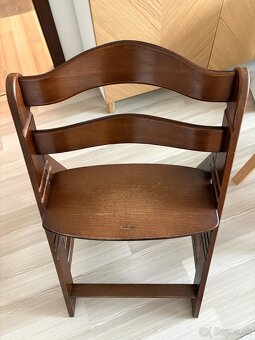 Rastuca stolicka Hauck - 2