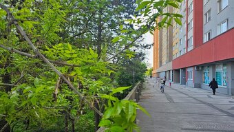 1 izbový byt v Bratislave - Petržálke, 36m2, čiastočná rekon - 2