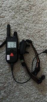 Reedog P30 elektricky obojok - 2