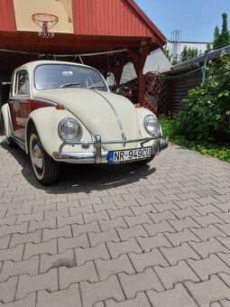 Vw chrobák - 2