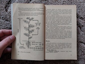 Chemie na zahrádce - Zakopal - 2
