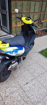 Cpi Aragon Padoc 50cm. - 2