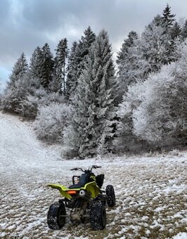 Yamaha Raptor 700r - 2