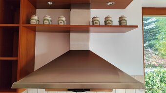 Digestor Electrolux - 2