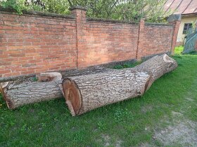Orechové drevo - 2