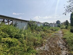 41609-Predaj areálu s veľkou parcelou v obci Širkovce - 2