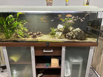 Akvarium 150x50x50 - 2