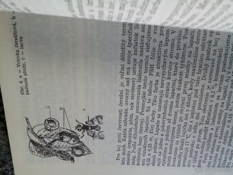 Poradca záhradkára - 2