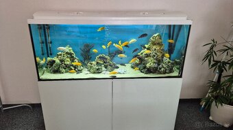 450l akvárium - 2