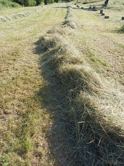 Predám balíky sena - 2