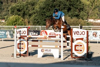 8 ročna Top Kobyla do športu - 2