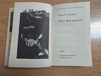 Pani Bovaryová - 2