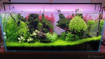 Komplet zariadené akvárium - 2