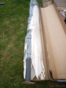 Slnečník Salvador - 2