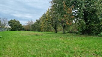 MICHALOVCE - SAMOSTATNE STOJACI 6i RD - PODPIVNIČENÝ - 2